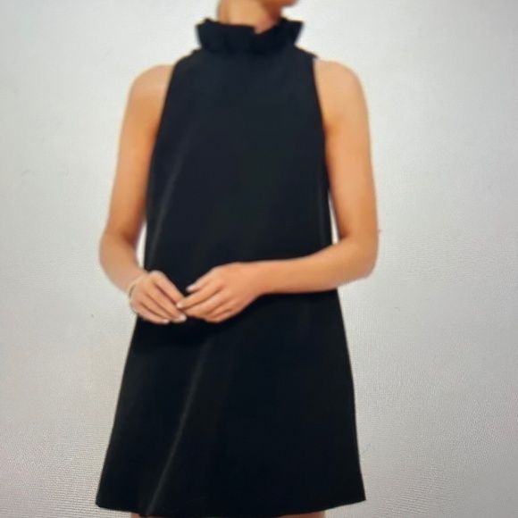 Tuckernuck/Black Blythe Ruffle Preppy Relaxed Fit Mini (worn once) - Picture 1 of 4